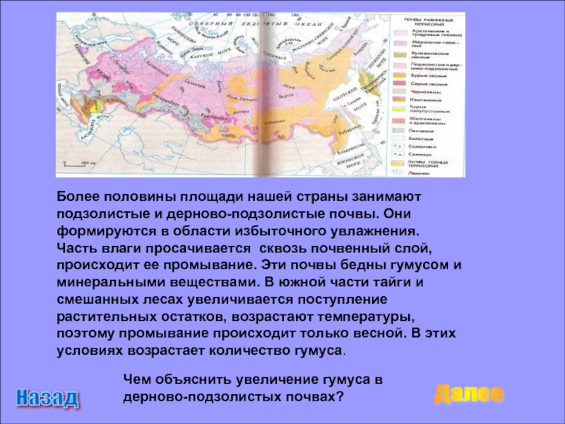 Эта природная зона занимает более половины территории. Природная зона занимает более половины территории нашей страны. Подзолистые почвы на карте. Природная зона в которой формируются подзолистые почвы. Характеристика подзолистых почв России.