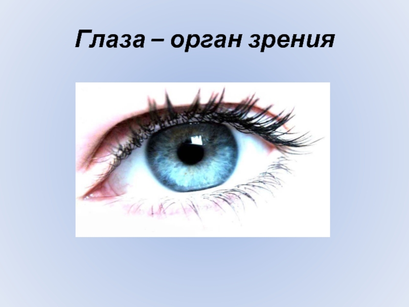 Глаза орган зрения. Органы чувств человека глаза. Органы чувств зрение. Органы чувств органы зрения глаза.