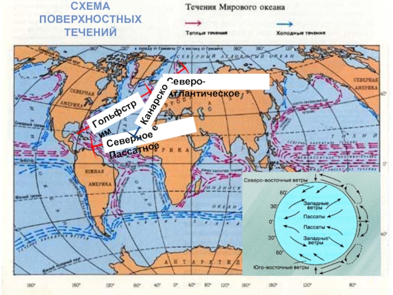 Схема поверхностных течений