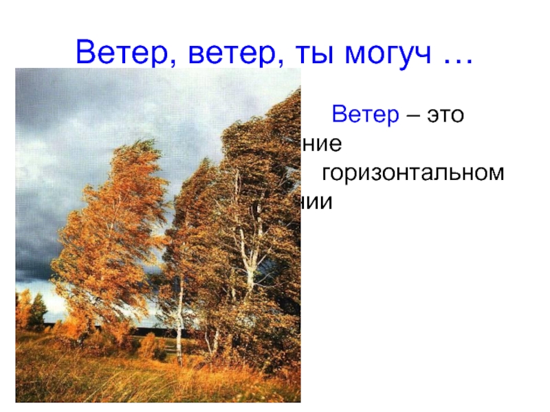 Ветер ветер ты могуч. Ветер ветер. Ветер ветер ты могуч фото. Ветер ветер ты могуч размер.