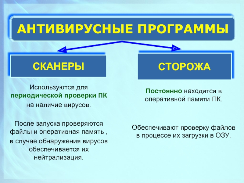 Наличие вирусов. Программы сканеры вирусов. Что делают антивирусные программы-сторожа. Антивирусные программы сканеры. Сканеры и сторожа.