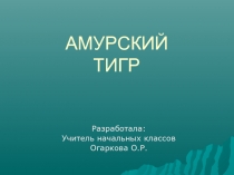 Амурский тигр 4 класс