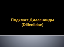 Подкласс Дилленииды (Dilleniidae)