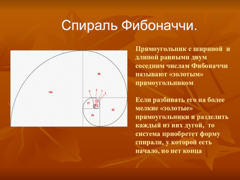 Презентация на тему числа фибоначчи