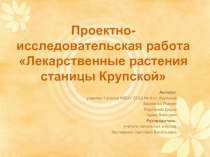 Проектно-исследовательская работа «Лекарственные растения станицы Крупской»