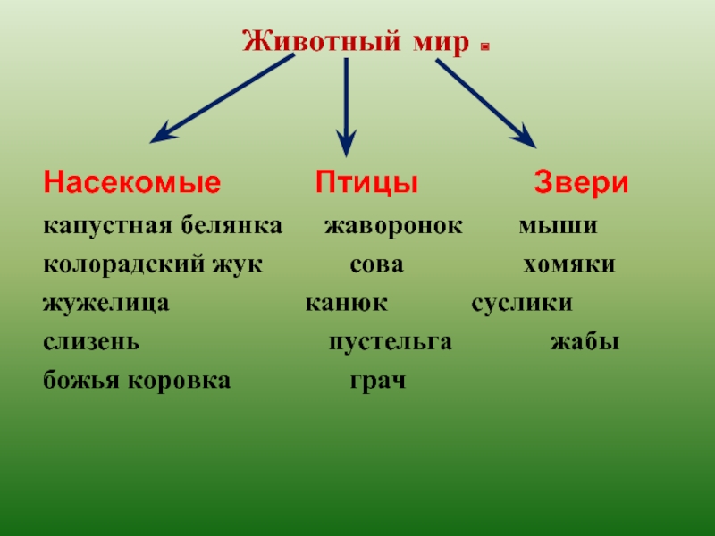 Презентация обитатели поля 2 класс