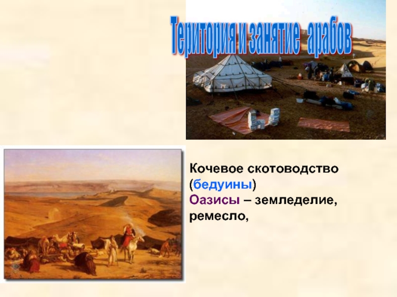 Територия и занятие  арабов Кочевое скотоводство (бедуины)Оазисы – земледелие, ремесло,