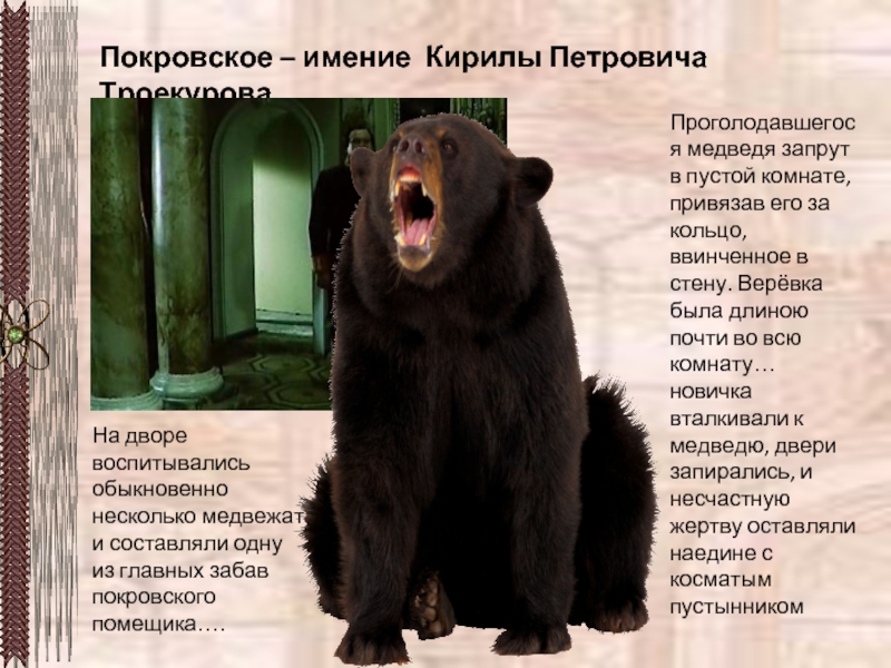 Покровское – имение Кирилы Петровича ТроекуроваНа дворе воспитывались обыкновенно несколько медвежат и составляли одну из главных забав
