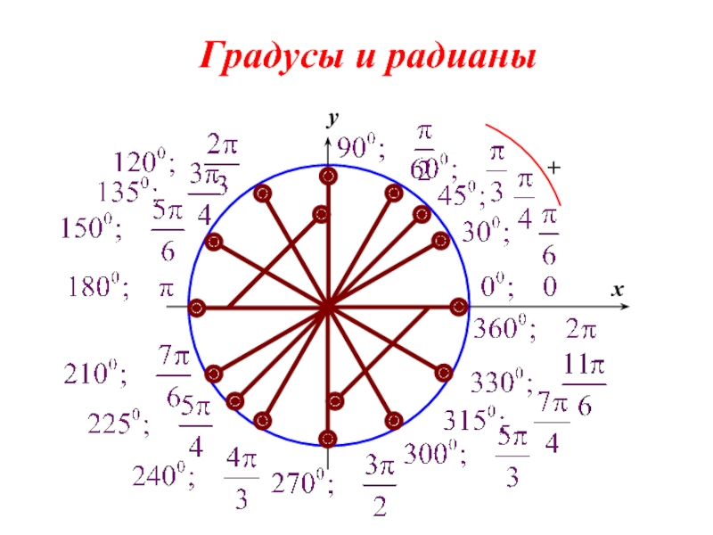 Выразите в градусной мере величины углов. Тригонометрия градусы и радианы. 2 Пи Радиан. Радианы в градусы. Радианная окружность.