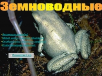 Земноводные