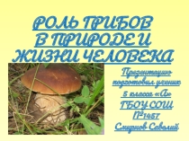 РОЛЬ ГРИБОВ В ПРИРОДЕ И ЖИЗНИ ЧЕЛОВЕКА
