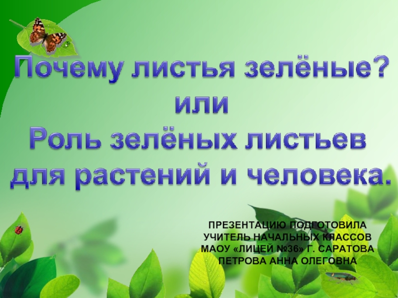 Почему зеленый. Почему листья зеленые. Почему листья зеленые презентация. Зеленые растения для презентации. Почему растения зеленые для детей.