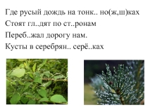 Омонимы, антонимы и синонимы