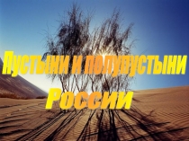 Пустыни и полупустыни России