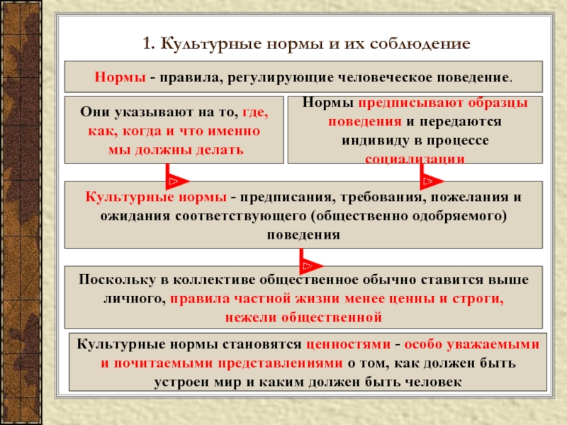 Обязывающие правила. Культурные нормы. Культурные нормы поведения. Социально культурные нормы. Культурные нормы примеры.