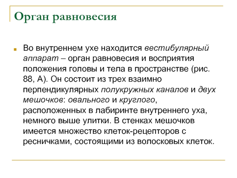 Органы равновесия презентация 8 класс