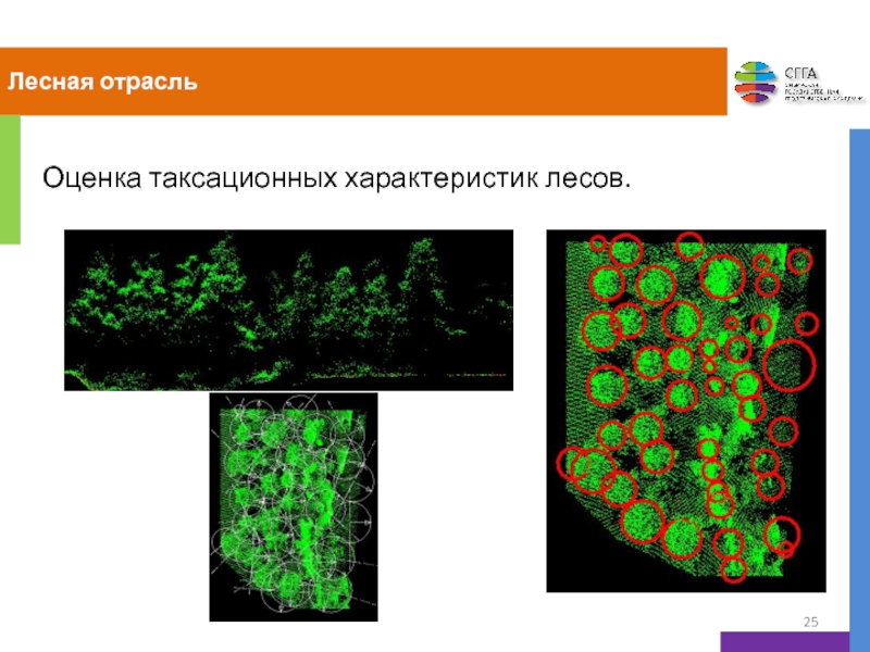 Презентация лазерное сканирование