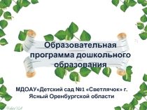 Образовательная программа дошкольного образования