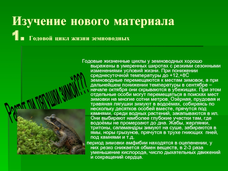 Охарактеризуйте роль кожи в жизни земноводных. Годовой цикл земноводных. Годовой жизненный цикл земноводных. Схема годового жизненного цикла земноводных. Образ жизни земноводных кратко.