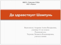 Да здравствует Шампунь