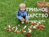 Грибное царство