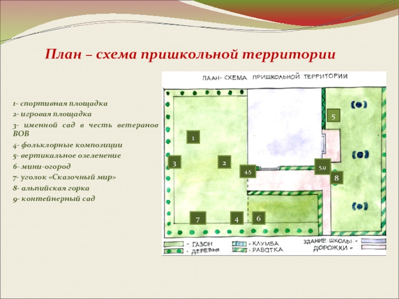 План местности школы 5 класс география. План местности пришкольного участка. Схема озеленения пришкольного участка. План схема пришкольной территории. Схема озеленения территории школы.