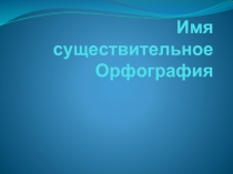 Орфография