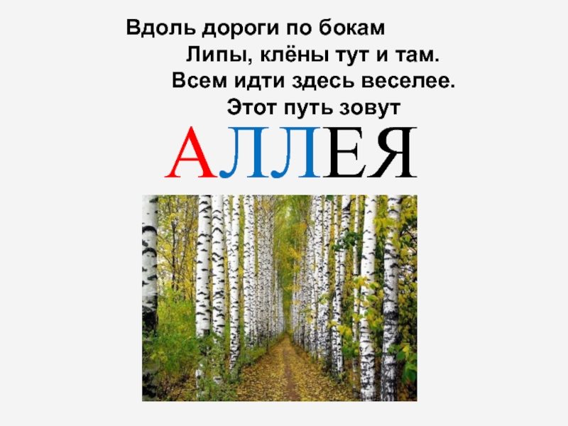 Вдоль предложения. Загадка про аллею. Аллея словарное слово. Загадка про аллею для детей. Загадка про слово аллея.