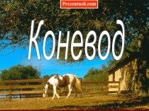 КОНЕВОД