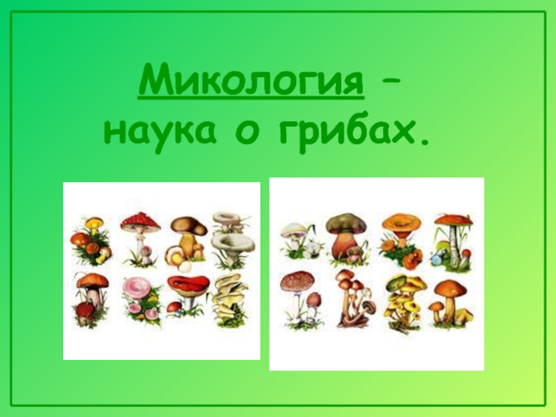 Микология