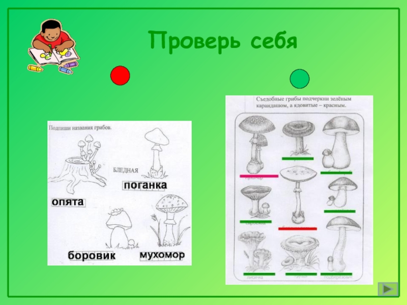 В царстве грибов тех карта 3 класс