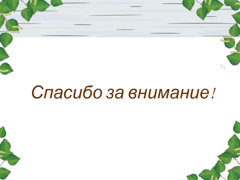 Спасибо за внимание картинка природы