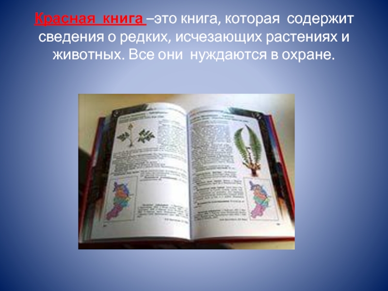 Красная книга –это книга, которая содержит сведения о редких, исчезающих растениях и животных. Все они нуждаются в
