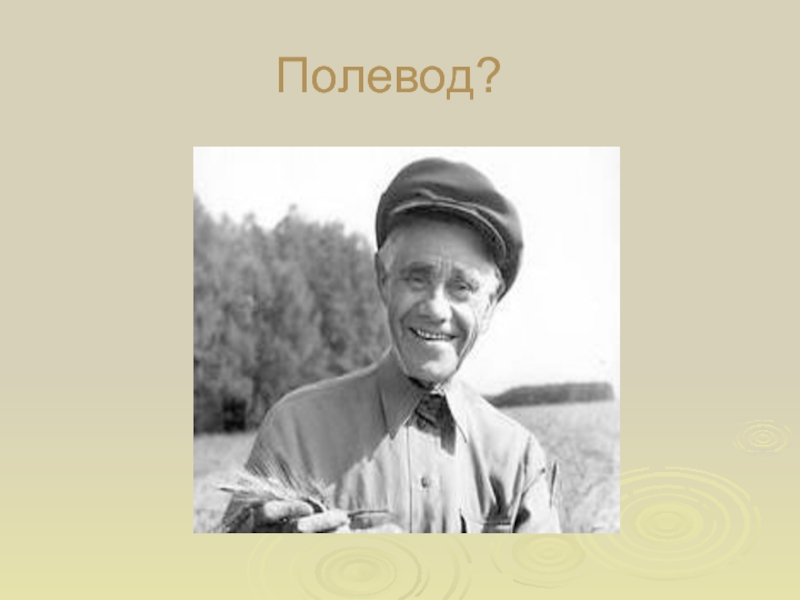 Великий крестьянин. Полевод Сергей Филиппович. Полевод е .с.Маслов. Слово полевод. Галя полевод.