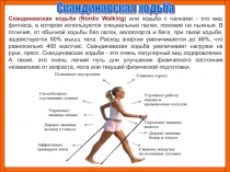 Скандинавская ходьба