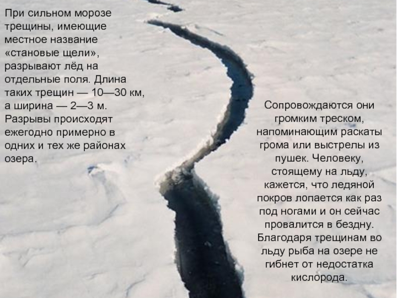 При сильном морозе трещины, имеющие местное название «становые щели», разрывают лёд на отдельные поля. Длина таких трещин
