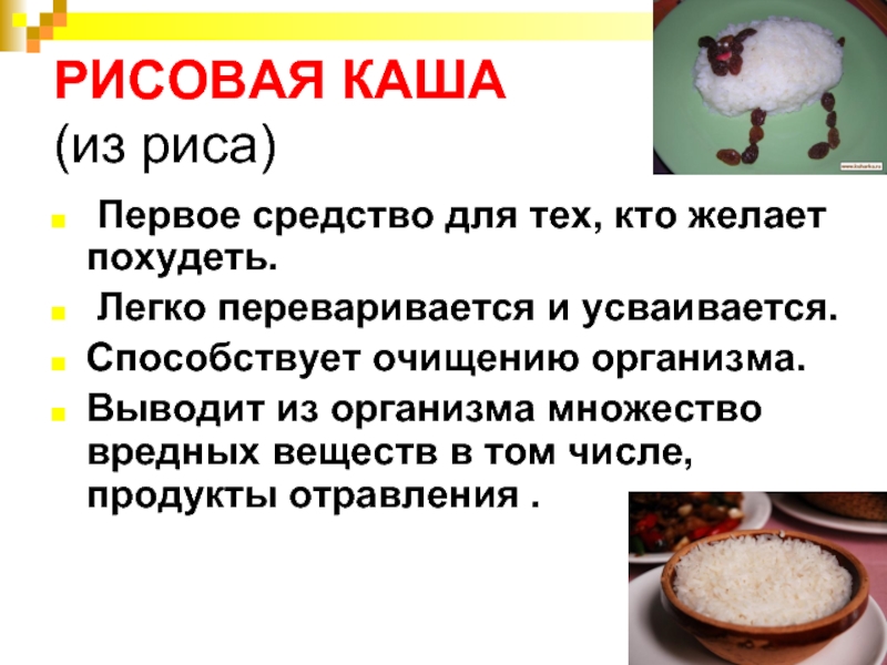 Сколько переваривается гречневая каша. Какие каши легко усваиваются. Чему способствует рисовая каша. Вещества из риса. Как переваривается рисовая каша.