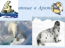 Животные в Арктике