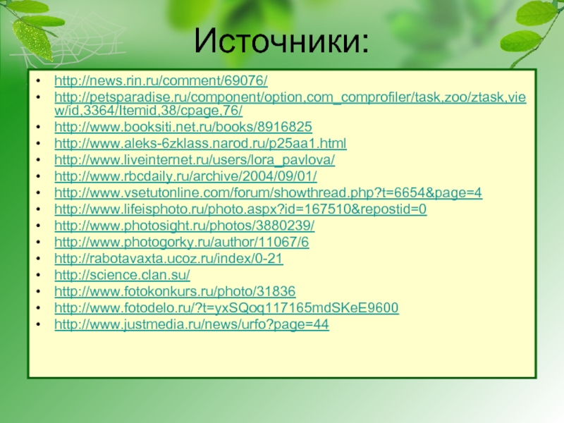 Источники:http://news.rin.ru/comment/69076/http://petsparadise.ru/component/option,com_comprofiler/task,zoo/ztask,view/id,3364/Itemid,38/cpage,76/http://www.booksiti.net.ru/books/8916825http://www.aleks-6zklass.narod.ru/p25aa1.htmlhttp://www.liveinternet.ru/users/lora_pavlova/http://www.rbcdaily.ru/archive/2004/09/01/http://www.vsetutonline.com/forum/showthread.php?t=6654&page=4http://www.lifeisphoto.ru/photo.aspx?id=167510&repostid=0http://www.photosight.ru/photos/3880239/http://www.photogorky.ru/author/11067/6 http://rabotavaxta.ucoz.ru/index/0-21http://science.clan.su/http://www.fotokonkurs.ru/photo/31836http://www.fotodelo.ru/?t=yxSQoq117165mdSKeE9600http://www.justmedia.ru/news/urfo?page=44