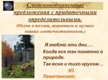 Сложноподчиненные предложения с определительными придаточными