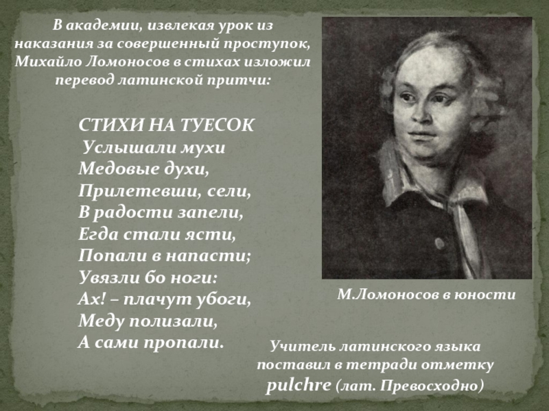 Кузнечик дорогой коль много ты блажен. Ломоносов Михаил Васильевич стихи. Стихотворение Михаила Васильевича Ломоносова. Михаил Васильевич Ломоносов стихи короткие. М.В. Ломоносова. Стихотворения.