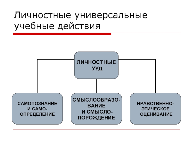 Развитие универсальность