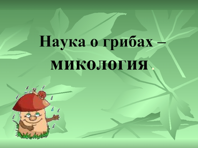 Микология. Наука о грибах. Микология это наука. Микология презентация. Как называется наука о грибах.