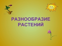 Разнообразие растений