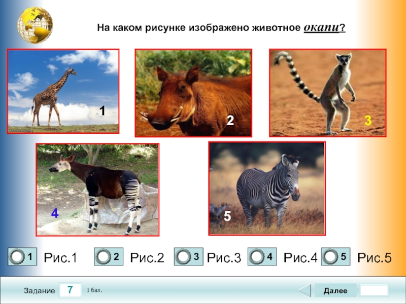 Окружающий мир 2 класс тесты животные. Тест Африка. Какое животное изображено на рисунке. Тест Африка география. Какие животные изображены на картинке.