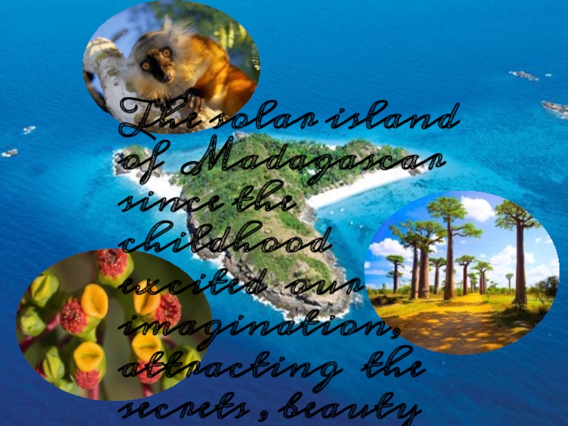 The solar island of Madagascar since the childhood excited our imagination, attracting the secrets , beauty and