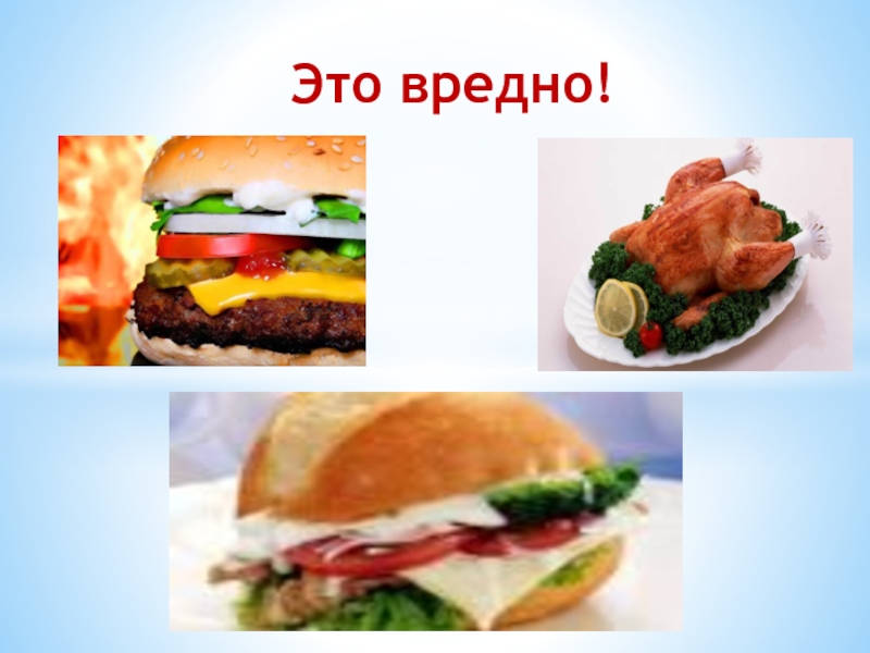 Продукты питания проект