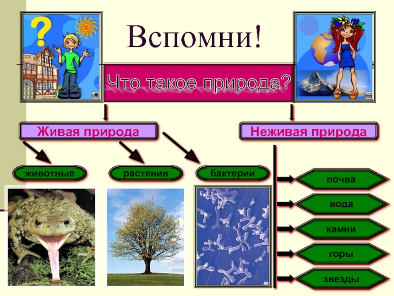 Существует связи между неживой и живой природой