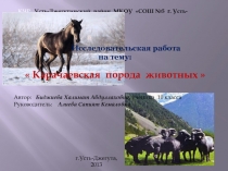 Карачаевская порода животных