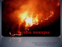 Лесные пожары (8 класс)